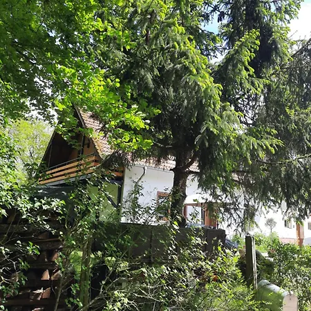 Hille-hof Apartmán